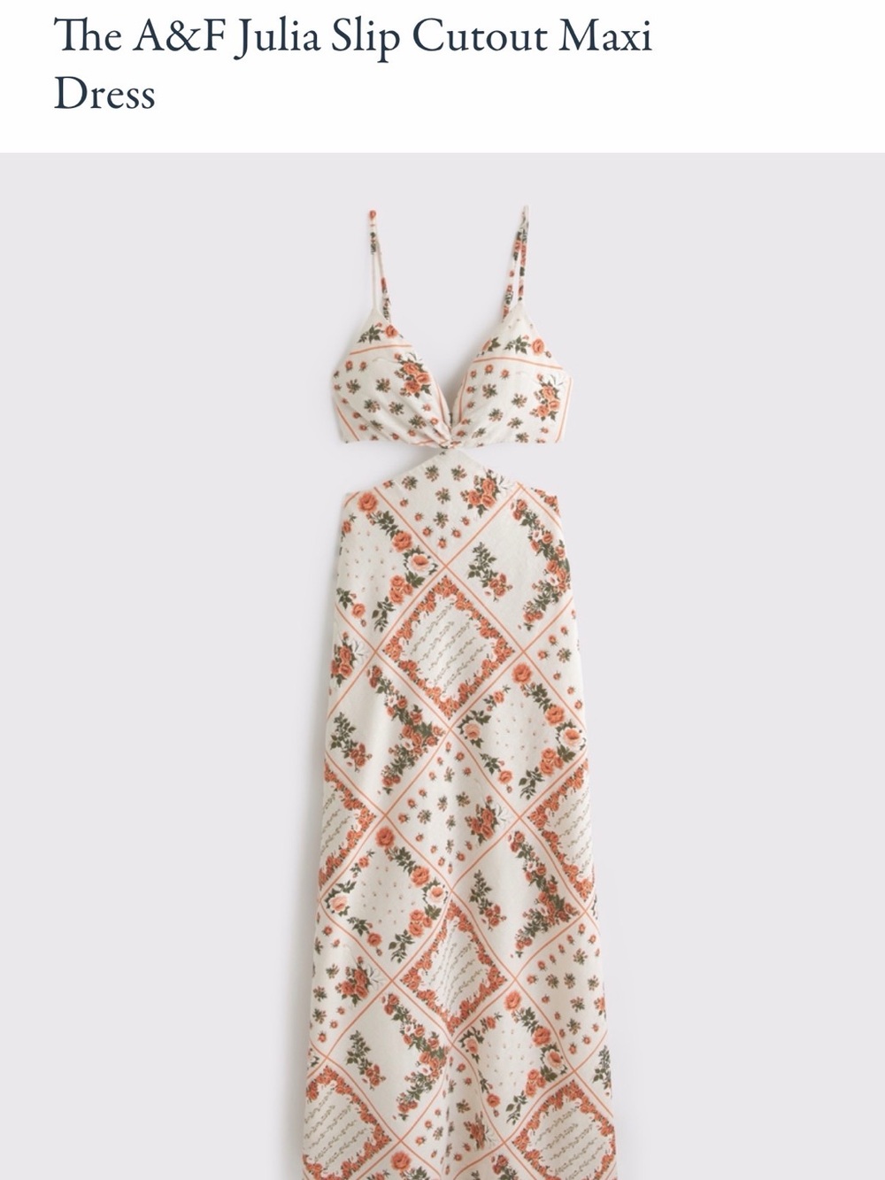 The A&F Julia Slip Cut Out Maxi Dress (NWT-M)